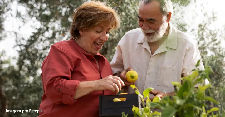 pequenas ações domésticas podem ajudar a promover uma melhor qualidade de vida ao idoso com alzheimer